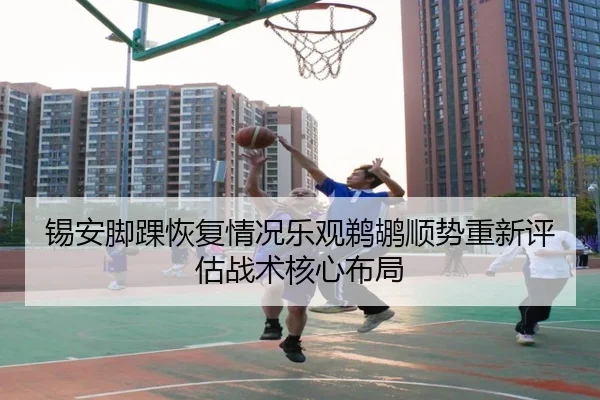 锡安脚踝恢复情况乐观鹈鹕顺势重新评估战术核心布局